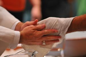 473071_381360811909765_143418169037365_1103946_468045949_o