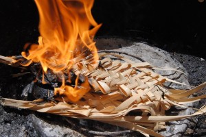 palms for ash wednesday